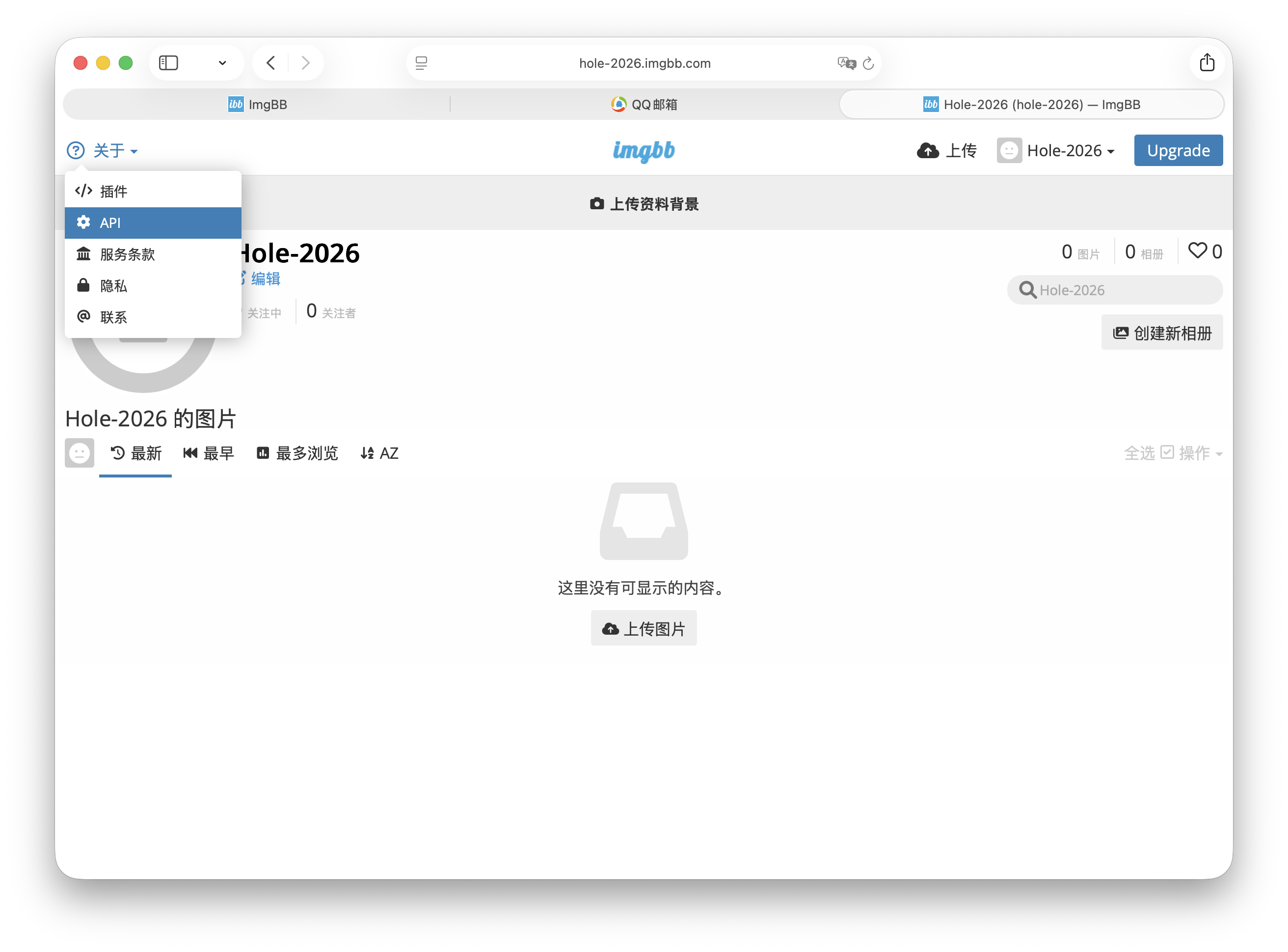 ImgBB 账号页中的 API 菜单入口