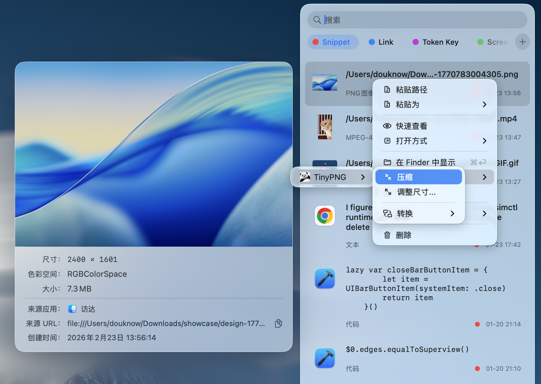 Lucent 图片条目菜单中的 TinyPNG 操作入口